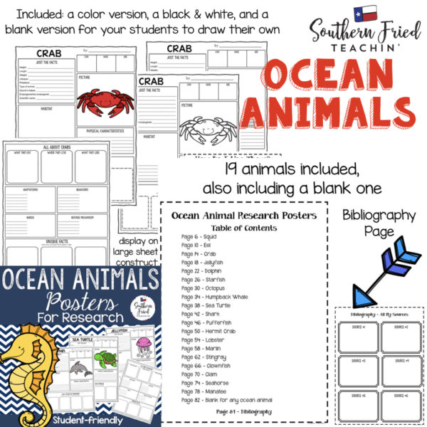 BUNDLE Animals Research Project Posters - Southern Fried Teachin'