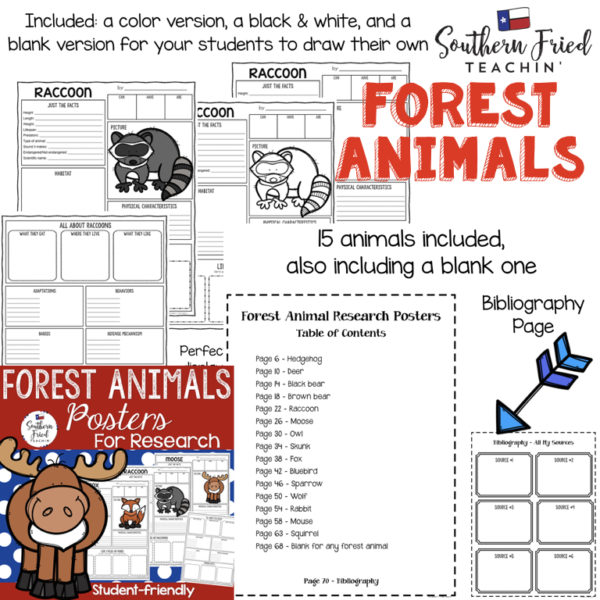 BUNDLE Animals Research Project Posters - Southern Fried Teachin'