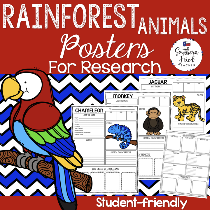 Rainforest Animals Research Project Posters - Southern Fried Teachin'