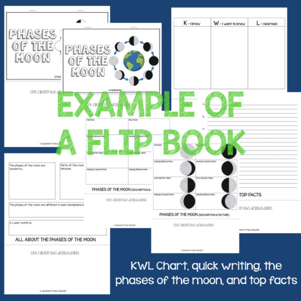 This Science Flip Book GROWING BUNDLE is full of interactive flip books which are perfect to supplement your science curriculum. Each one is an organized student resource that is load with critical thinking stems and questions which makes students really think. It can be used as a stand alone resource or for interactive notebooks. It can be used for so many things...note taking as a class, review, or even assessments. It is also great as a study tool for class and state assessments.