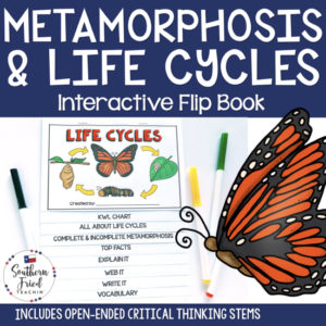 This engaging Metamorphosis & Life Cycles Interactive Flip Book is an organized student resource that is load with critical thinking stems and questions which makes students really think. It can be used as a stand alone resource or for interactive notebooks. It can be used for so many things...note taking as a class, review, or even assessments. It is also great as a study tool for class and state assessments.