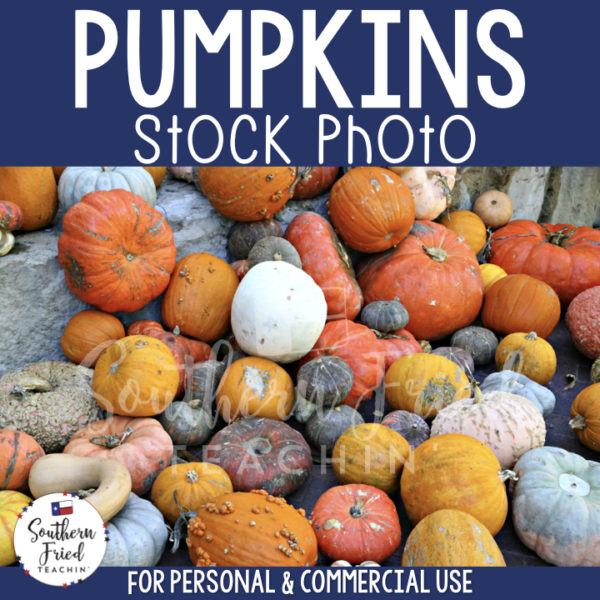 Jazz up your blog posts, social media, and cover photos with this eye-catching stock photo of pumpkins, which is perfect for fall and autumn! It is perfect for the teacherpreneur and can be used for personal or commercial use. 