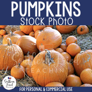 Jazz up your blog posts, social media, and cover photos with this eye-catching stock photo of pumpkins, which is perfect for fall and autumn! It is perfect for the teacherpreneur and can be used for personal or commercial use.