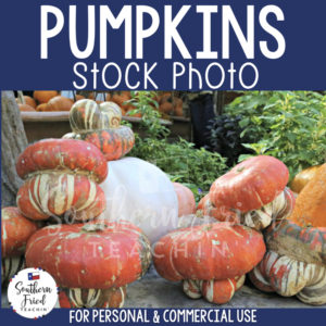 Jazz up your blog posts, social media, and cover photos with this eye-catching stock photo of pumpkins, which is perfect for fall and autumn! It is perfect for the teacherpreneur and can be used for personal or commercial use. 