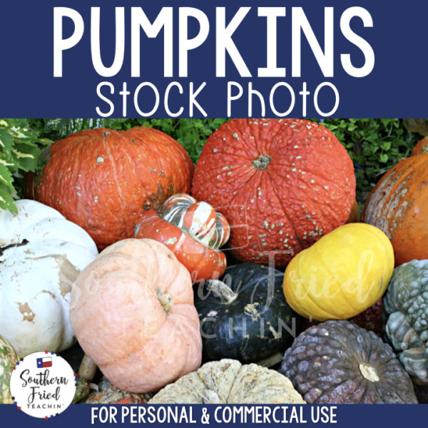 Jazz up your blog posts, social media, and cover photos with this eye-catching stock photo of pumpkins, which is perfect for fall and autumn! It is perfect for the teacherpreneur and can be used for personal or commercial use. 