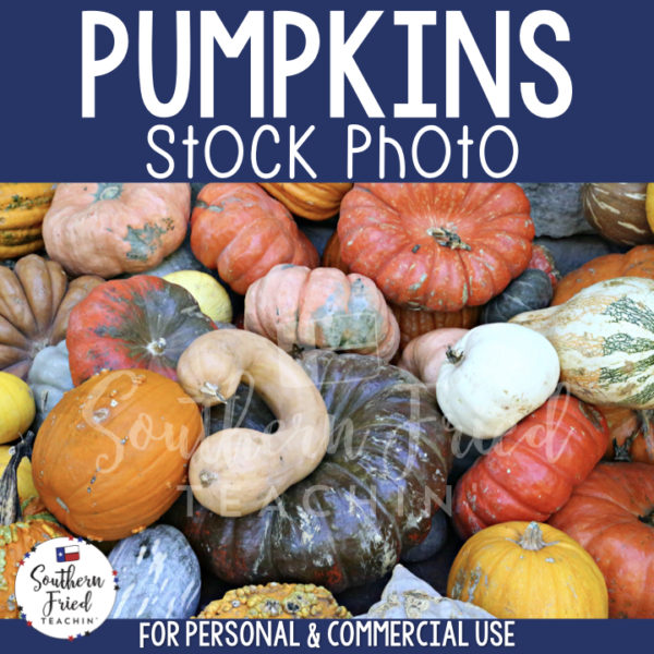 Jazz up your blog posts, social media, and cover photos with this eye-catching stock photo of pumpkins, which is perfect for fall and autumn! It is perfect for the teacherpreneur and can be used for personal or commercial use. 