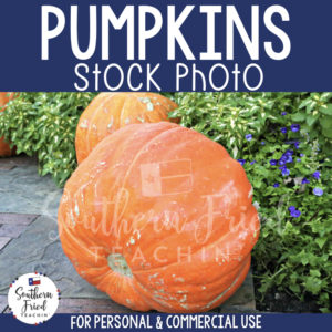 Jazz up your blog posts, social media, and cover photos with this eye-catching stock photo of pumpkins, which is perfect for fall and autumn! It is perfect for the teacherpreneur and can be used for personal or commercial use. 
