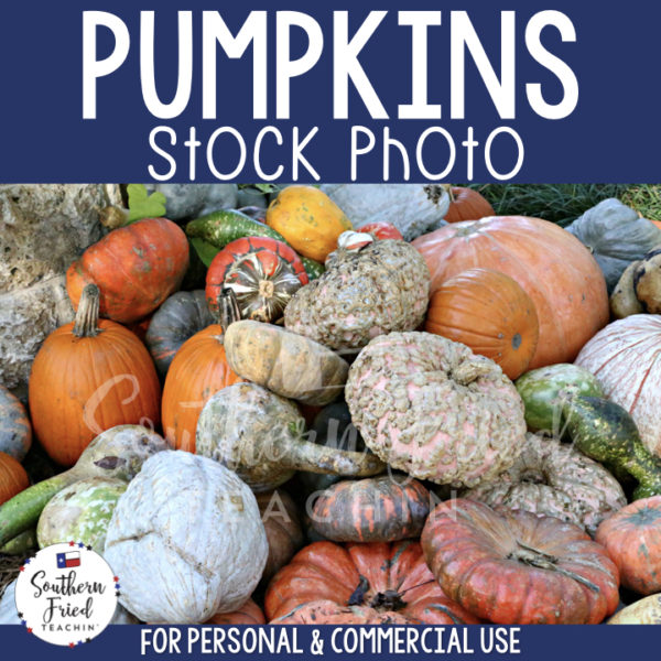 Jazz up your blog posts, social media, and cover photos with this eye-catching stock photo of pumpkins, which is perfect for fall and autumn! It is perfect for the teacherpreneur and can be used for personal or commercial use. 