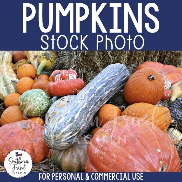 Jazz up your blog posts, social media, and cover photos with this eye-catching stock photo of pumpkins, which is perfect for fall and autumn! It is perfect for the teacherpreneur and can be used for personal or commercial use. 