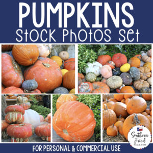 Jazz up your blog posts, social media, and cover photos with these eye-catching stock photos of pumpkins, which are perfect for fall and autumn! They are perfect for the teacherpreneur and can be used for personal or commercial use.